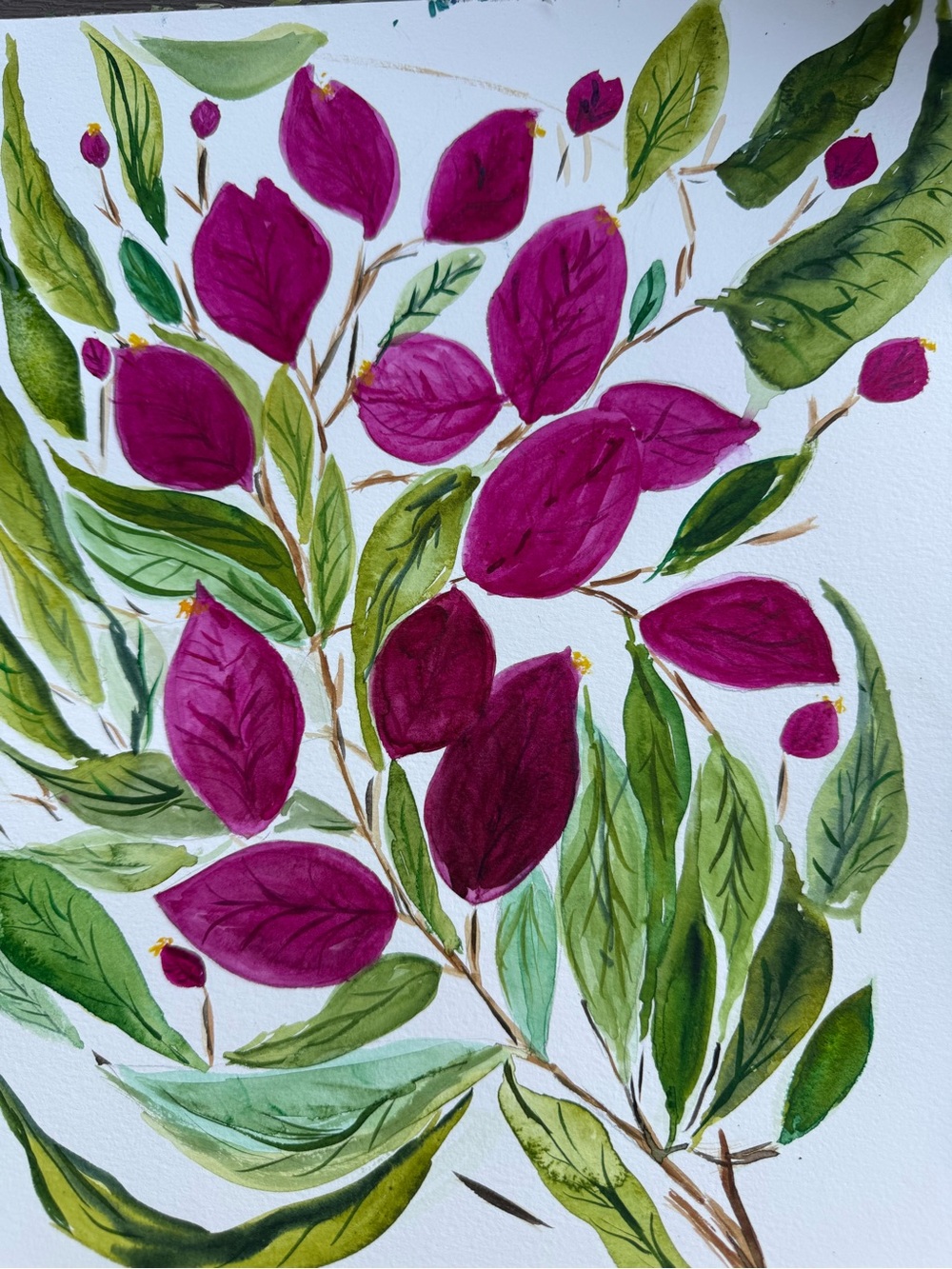 Magenta  Bougainvillea Botanical Watercolor
